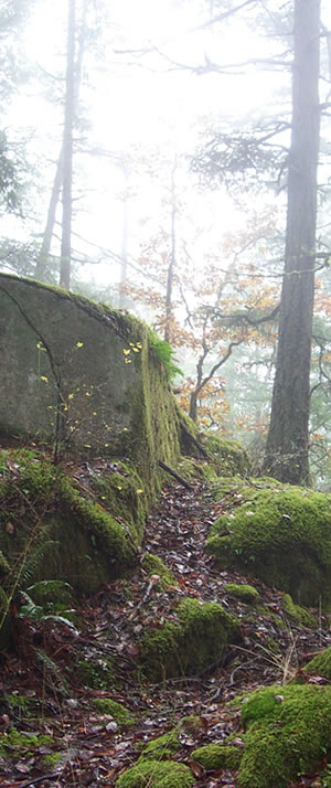 John Dean Park natural formations